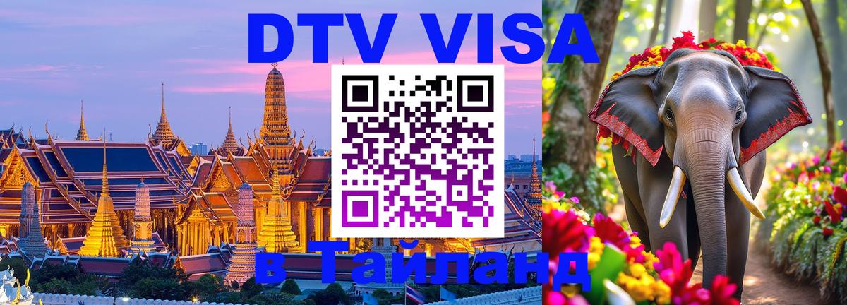 Сколько стоит DTV виза — актуальные цены, оформление даже без документов - 